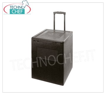 Isothermischer Behälter aus Polypropylen TROLLEYBOX, Maße mm 420 x 420 x 600