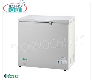 Forcar - PIT FREEZER, 242 lt, Temp. ≤ -18, statisch, Klasse F, Mod.G-BD305S